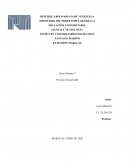 Para el Mercado Consumidor