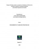 PROCEDIMIENTOS Y PLANEACION TRIBUTARIA 3551