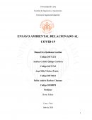 ENSAYO AMBIENTAL RELACIONADO AL COVID-19