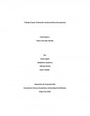 Evaluacion socioeconomica de un proyecto