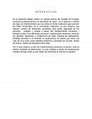 INTRODUCCION DE MANTENIMIENTO Hospital de La Mujer