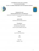 Propuesta de modelo de inventario para Libreria & Bazar Pacifico