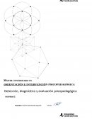Detección, diagnóstico y evaluación psicopedagógica