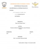 Proceso de Atención de Enfermería y Guía de Prácticas Clínicas