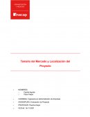Tamaño del Mercado y Localización del Proyecto