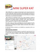 PLAN DE TRABAJO MINISUPER