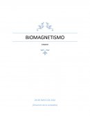 Biomagnetismo
