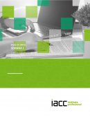 Conceptualización de las bases de datos