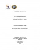 ANÁLISIS JURISPRUDENCIAL ESTRUCTURAL SENTENCIA T-511/93