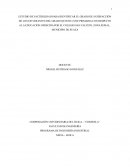 ESTUDIO DE FACTIBILIDAD PARA IDENTIFICAR EL GRADO DE SATISFACCIÓN DE LOS ESTUDIANTES DEL GRADO QUINTO