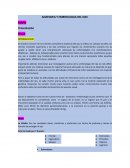 ANATOMIA Y EMBRIOLOGIA DEL OJO: DIAPO