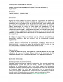 Dirección Estratégica de la Empresa, Técnicas de Gestión y Organización