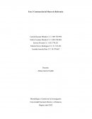 Fase 3 Construcción del Marco de Referencia
