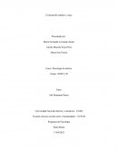 Fase 3 Unidad 3 - Desarrollo adultez y vejez