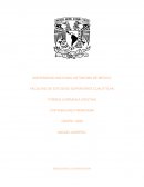 Mercancías en Consignación