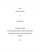 GERENCIA DEL SERVICIO