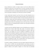 Ensayo de decisiones