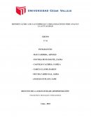 REPORTE ACERCA DE LAS EMPRESAS Y ORGANIZACIONES PERUANAS EN LA ACTUALIDAD