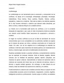 Lectura 6. Conflictología