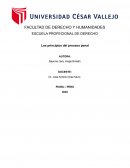 Los principios del proceso penal