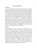 El experimento - Ensayo