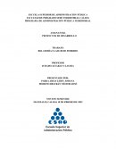 Proyectos de desarrollo