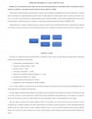 TEORÍAS DEL DESARROLLO Y LA APLICACIÓN EN SU VIDA