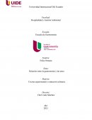 Relación entre la gastronomia y las artes