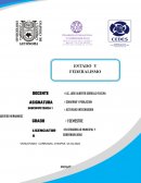 ESTADO Y FEDERALISMO