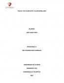 TALLER 1 DE ACUEDUCTO Y ALCANTARRILLADO