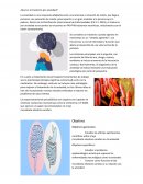 ¿Qué es el trastorno por ansiedad?