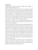 Reflexion sobre proceso formativo final