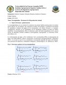 Prostaglandina - Hormona de la Reproducción Animal