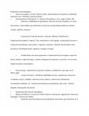 DIAGNÓSTICO PSICOPEDAGÓGICO