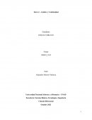 Límites y Continuidad