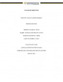 TALLER DE OBJETIVOS ELECTIVA EN SALUD MENTAL