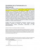 Solubilidad de la Femtoescala a la Macroescala