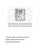 Tutela judicial efectiva