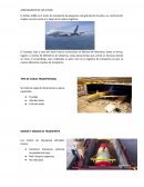 Airbus 380 Gigante de los cielos