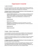 Organización Industrial