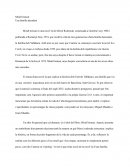 Comentari Mirall trencat