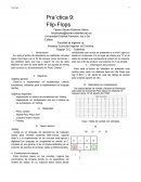 Laboratorio Flip Flops