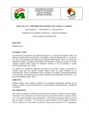 PRÁCTICA No 7: PROPIEDADES QUÍMICAS DE AMINAS Y AMIDAS