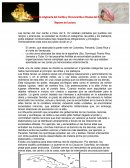 Población originaria del caribe y Circuncaribe