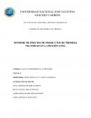 Informe de precios de productos de primera necesidad de la región Lima