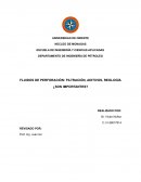 FLUIDOS DE PERFORACIÓN: FILTRACIÓN, ADITIVOS, REOLOGÍA ¿SON IMPORTANTES?
