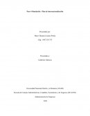 Paso 4 Simulación - Plan de internacionalización
