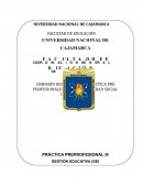 COMISIÓN DEL SISTEMA DE PRÁCTICA PRE PROFESIONALES Y RESPONSABILIDAD SOCIAL UNIVERSITARIA