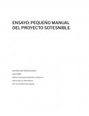 ENSAYO: PEQUEÑO MANUAL DEL PROYECTO SOTESNIBLE