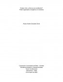Ensayo Libro: ¿Qué es una constitución? Poder organizado e inorgánico en Colombia
